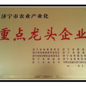 榮譽資質(zhì)